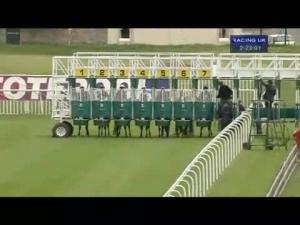 Video preview image for Musselburgh 14:20 - Totescoop6 Edinburgh Castle Stakes (Conditions Race)