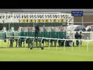 Video preview image for Musselburgh 17:05 - Toteexacta Available On All Races Handicap