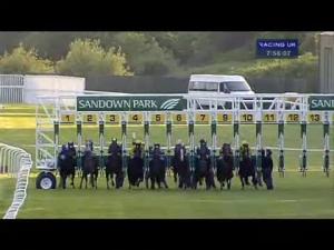 Video preview image for Sandown Park 19:55 - Bridget Stack Memorial Supporting Grace Handicap