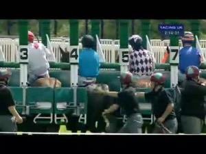 Video preview image for Chester 14:10 - Halewood International Maiden Stakes