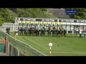 Video preview image for Haydock Park 17:00 - Download The BetVictor App Now Handicap