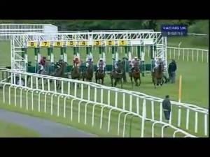 Video preview image for Newbury 21:00 - Gt Exhibitions Fillies' Handicap (Str)