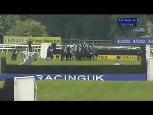 Video preview image for Perth 16:30 - Aviva City Of Perth Gold Cup Handicap Chase