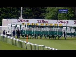 Video preview image for Haydock Park 14:50 - Irish Stallion Farms E.B.F. Maiden Fillies' Stakes