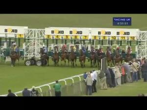 Video preview image for Beverley 16:30 - Promote Your Horse Pre-Auction At racehorsetrader.com Handicap (Part Of The Beverley Middle Distance Series)