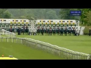 Video preview image for Beverley 17:00 - Buy Race Horses Online At racehorsetrader.com Handicap