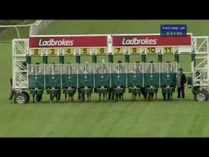 Video preview image for Hamilton Park 18:50 - Mcghee's Teaz Raceday Next Wednesday Handicap