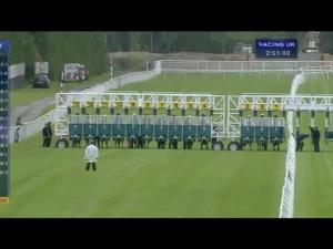 Video preview image for Newbury 14:50 - Crossland Maiden Fillies' Stakes (Div 2)