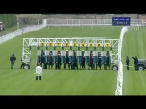 Video preview image for Newbury 15:25 - Lord Weinstock Memorial Stakes (Registered As The Ballymacoll Stud Stakes) (Fillies' Listed)