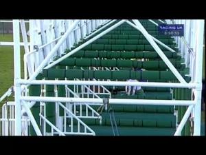 Video preview image for Haydock Park 20:50 - Ripponden's Silk Mill For Great Company Handicap