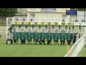 Video preview image for Musselburgh 13:50 - Gaynor Winyard Maiden Auction Stakes