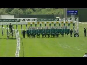 Video preview image for Sandown Park 14:10 - Alex Moilliett Northern Hammer Handicap