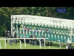 Video preview image for Sandown Park 14:40 - British Stallion Studs E.B.F. Maiden Stakes (Div 1)