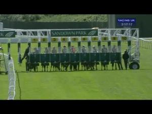 Video preview image for Sandown Park 15:15 - British Stallion Studs E.B.F. Maiden Stakes (Div 2)