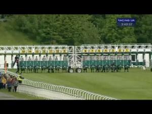 Video preview image for York 15:40 - Skf Rous Selling Stakes