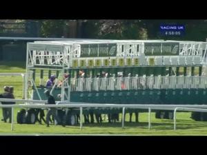 Video preview image for Sandown Park 16:55 - Beck Handicap