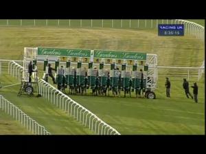 Video preview image for Goodwood 20:35 - Frankie's 26th Anniversary Maiden Stakes