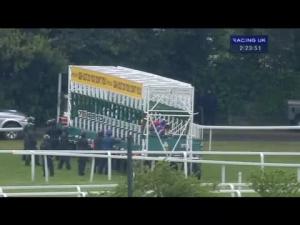 Video preview image for Sandown Park 14:20 - Novae Insurance Handicap