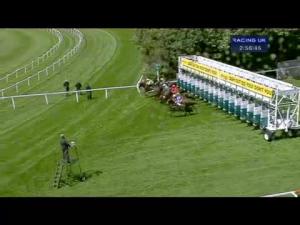 Video preview image for Sandown Park 14:55 - Novae Bloodstock Insurance Scurry Stakes (Listed)