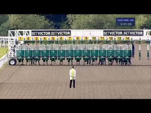 Video preview image for Kempton Park 17:30 - Ladies Day With Toby Anstis 07.09.13 Handicap
