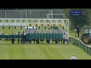 Video preview image for Warwick 19:20 - Turftv Median Auction Maiden Stakes