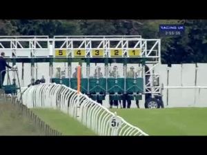 Video preview image for Thirsk 14:55 - Gbi Racing Welcomes Nicosia Race Club Selling Stakes