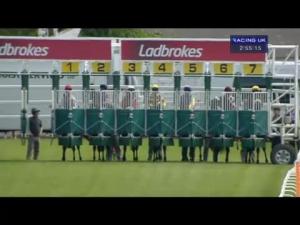 Video preview image for Hamilton Park 14:55 - Sam Collingwood-Cameron Handicap