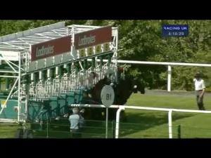 Video preview image for Hamilton Park 16:10 - Mcghee's Teaz Handicap