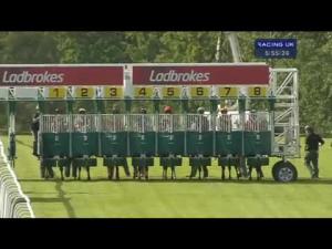 Video preview image for Hamilton Park 17:55 - Turftv In Your Betting Shop Apprentice Handicap (Round Two Of The Hamilton Park Apprentice Rider Series)