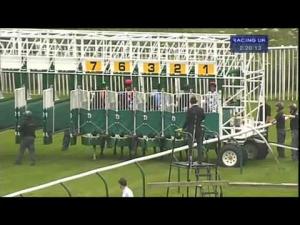 Video preview image for Warwick 14:20 - Turftv Claiming Stakes
