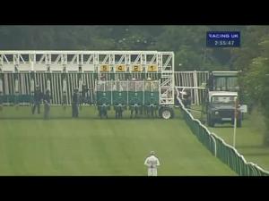 Video preview image for Warwick 14:55 - rewards4racing.com Maiden Fillies' Stakes