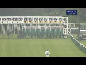 Video preview image for Warwick 15:30 - Evans Derry Solicitors Thoroughbred Legal Advice Handicap