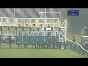 Video preview image for Warwick 16:10 - British Stallion Studs Supporting British Racing E.B.F. Maiden Fillies' Stakes