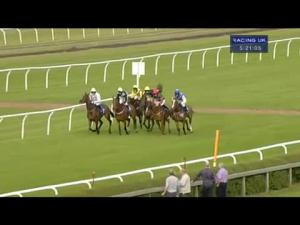 Video preview image for Market Rasen 17:20 - Grimsby and Immingham Stevedores Novices' Handicap Chase