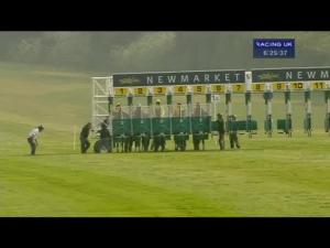 Video preview image for Newmarket 18:25 - newmarketracecourses.co.uk Classified Stakes