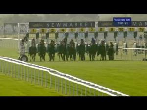 Video preview image for Newmarket 19:00 - Mk Shipping Maiden Stakes