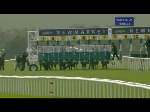 Video preview image for Newmarket 20:05 - poptelecom.co.uk Handicap