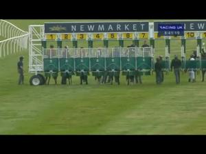 Video preview image for Newmarket 20:40 - Piper-Heidsieck E.B.F. Maiden Stakes