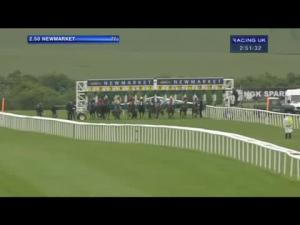 Video preview image for Newmarket 14:50 - Poets House Handicap