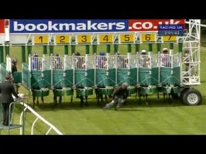 Video preview image for Carlisle 14:00 - British Stallion Studs E.B.F. Maiden Stakes