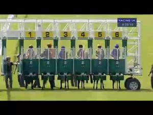 Video preview image for Salisbury 16:25 - Ashbrittle Stud Bibury Cup (Handicap)