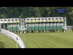 Video preview image for Salisbury 16:55 - New Forest Farm MacHinery/john Deere Fillies' Handicap