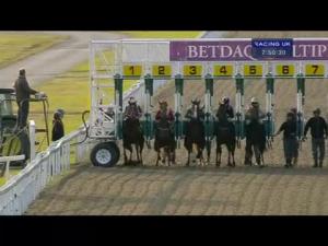 Video preview image for Kempton Park 19:50 - British Stallion Studs Supporting British Racing E.B.F. Novice Stakes