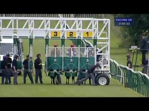 Video preview image for Warwick 14:40 - Afl Prime Handicap