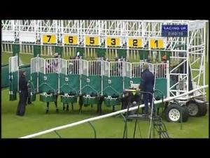 Video preview image for Warwick 16:40 - Barbara Carrington Memorial Apprentice Handicap