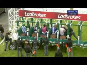 Video preview image for Hamilton Park 18:50 - Racing UK On Sky 432 Maiden Auction Stakes