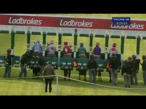 Video preview image for Hamilton Park 20:20 - wholesaledomestic.com Selling Stakes