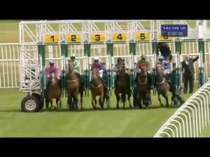 Video preview image for Musselburgh 14:40 - Investec Wealth & Investment Edinburgh Selling Stakes