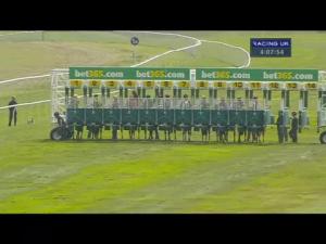 Video preview image for Newmarket 16:05 - Casino At Bet365 Handicap