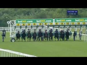 Video preview image for Newmarket 16:35 - bet365.com Maiden Stakes